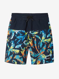 Swim shorts 532257-6982
