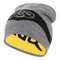 Hat (reversible) - 11010509-921