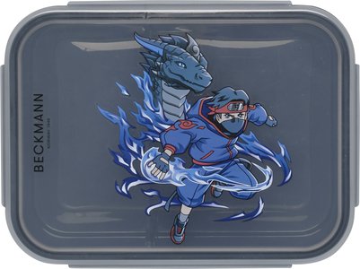 Коробка для ланча, Ninja Elements