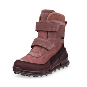 Ziemas zābaki Gore-Tex BIOM K2