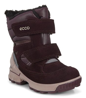 ECCO BIOM Winter Boots Gore-Tex 733591-52132