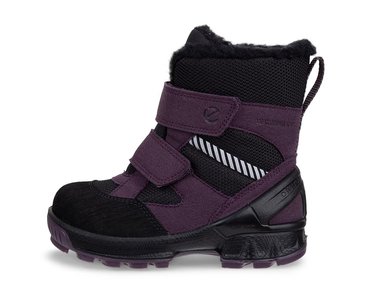 Ziemas zābaki Biom Hike WP